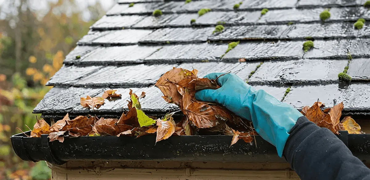 Gutter cleaning technician clearing wet leaves from roof gutters in Anchorage, AK